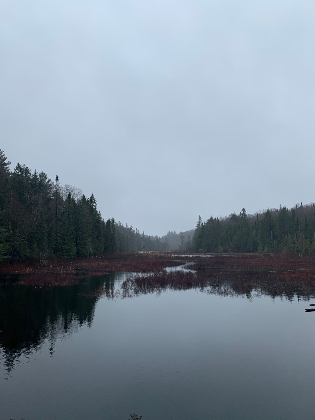 this, that, and&nbsp;me